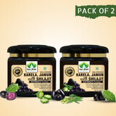 Karela Jamun with Shilajit Powder for maintaining Blood Sugar Level & Stamina Booster (Pack of 2)