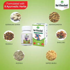 Vat Vinashak TABLET( 30 Tablet)